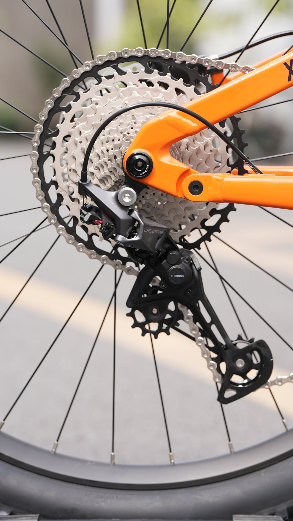 Caliber 29" Cross Country/Enduro Mountain Bike